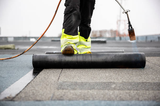 Professional Roofing Services in Youngsville, LA